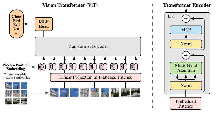 ViT overview: an image is split into fixed 16×16 patches, each linearly embedded; a learnable [class] token is prepended, position embeddings are added, and the sequence is fed to a standard Transformer encoder; an MLP head on the [class] token's output produces the classification.