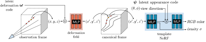 Nerfies 方法流程：观测帧坐标 (x,y,z) → 形变场 MLP（条件于 per-frame latent \omega）→ canonical 坐标 (x',y',z') → 模板 NeRF（条件于外观 latent \psi）→ RGB + 密度